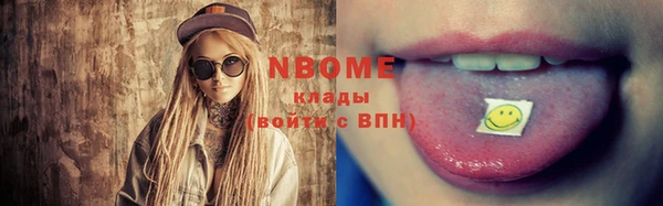 хмурый Алексин