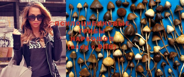 хмурый Алексин