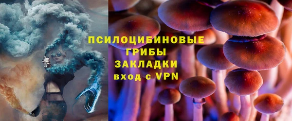 хмурый Алексин