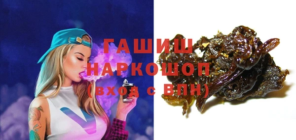 твердый Новозыбков