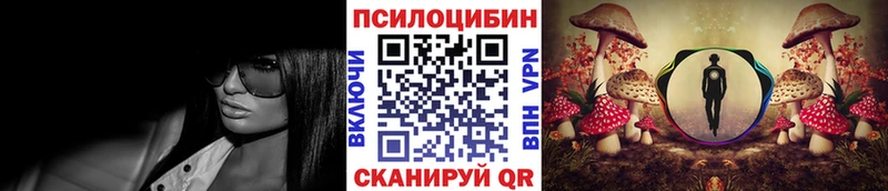 купить закладку  Нижнеудинск  Псилоцибиновые грибы мицелий 